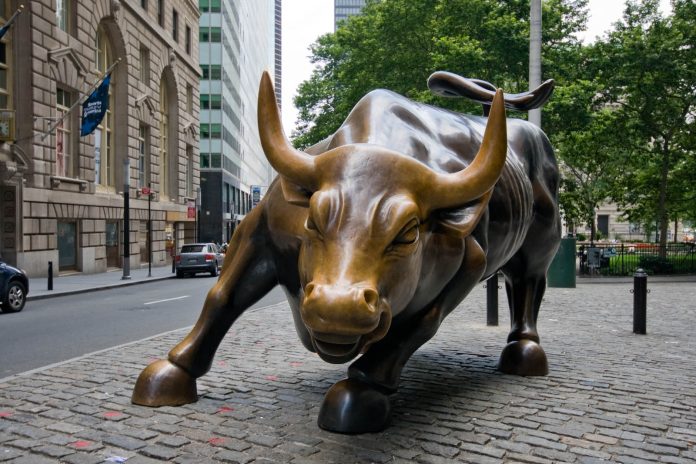 toro